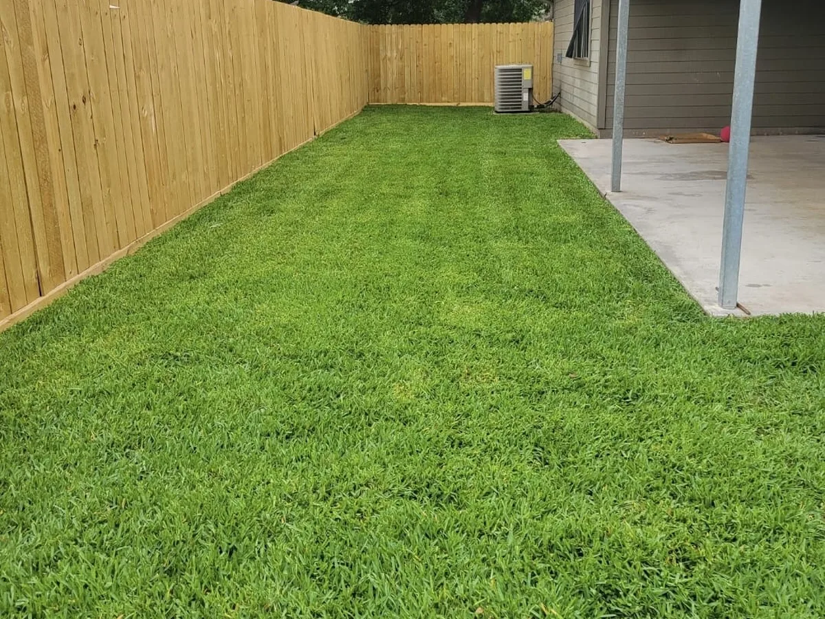 Freshly installed sod lawn beside a new fence